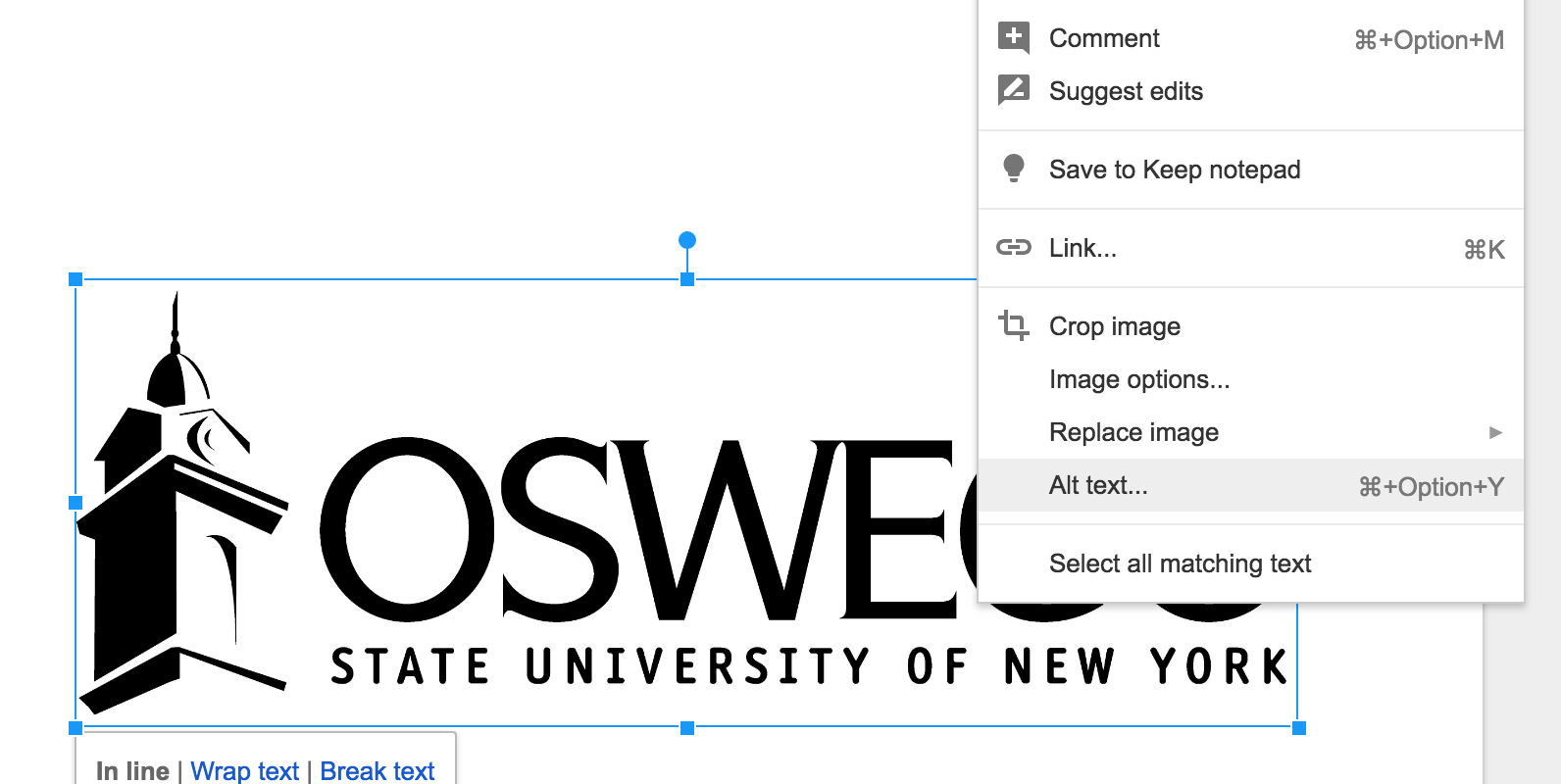 Right click on an image to open the options menu, then choose Alt Text