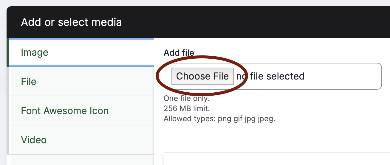 The Choose File button to import a new image into Drupal