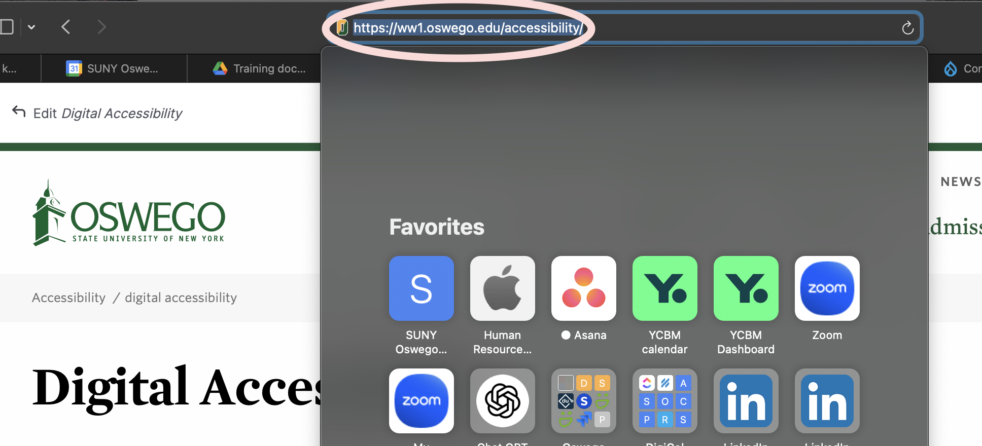 showing the full URL of Oswego's Digital Accessibility website