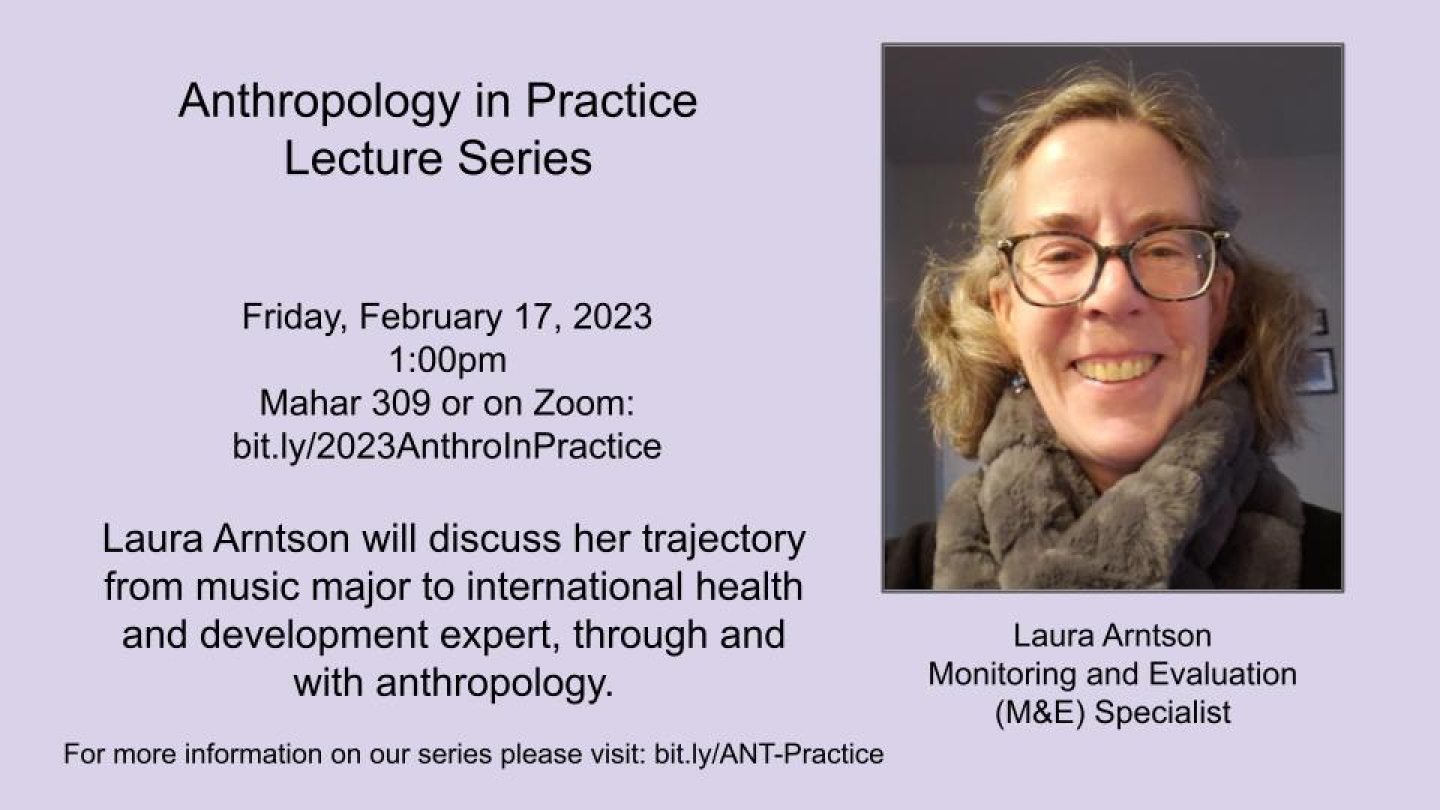Anthropology in Practice Series
