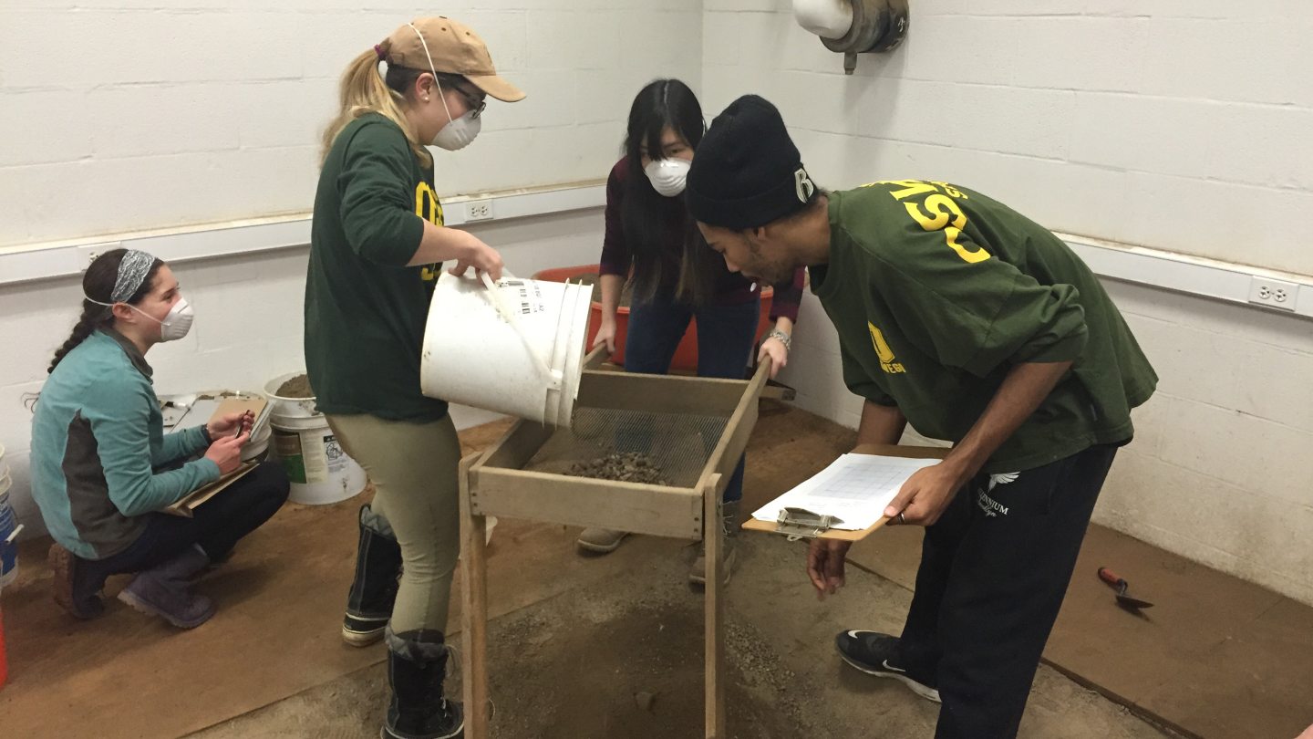 Screening artifacts during excavation