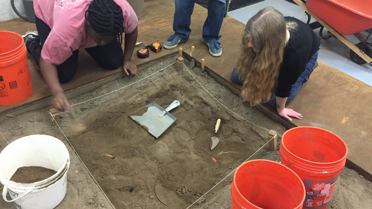 Dig Lab Excavation