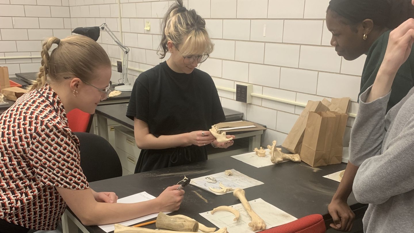 Forensic analysis