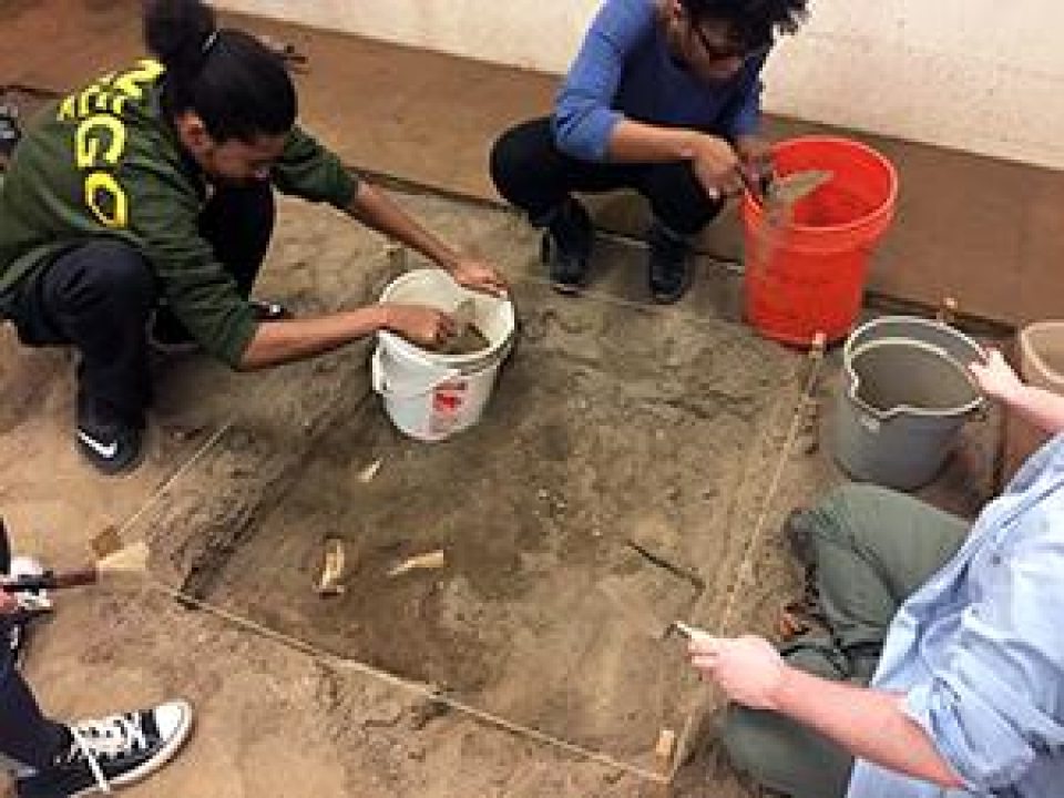 Students learning how to uncover artifacts in the indoor dig lab