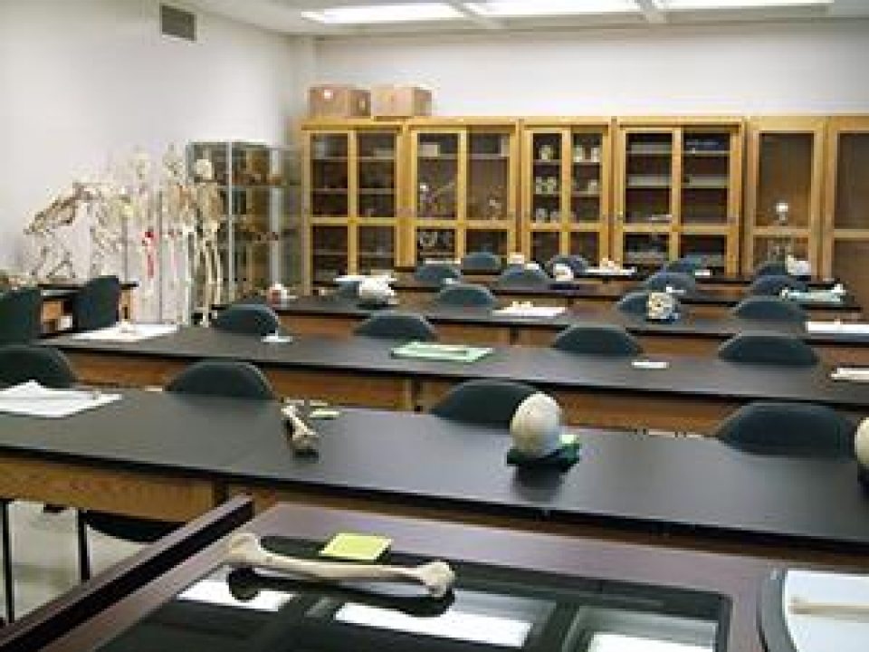 Bone specimens in the Osteology Teaching lab
