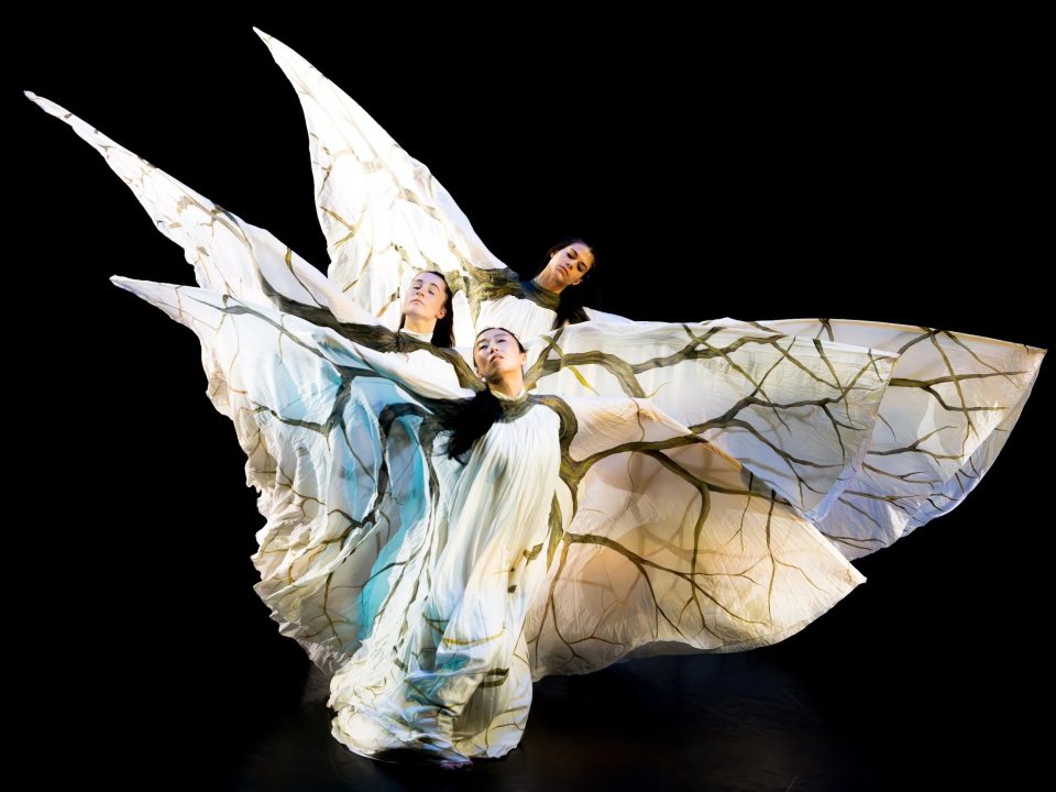 Three dancers from Jody Sperling/Time Lapse Dance perform in full costume.