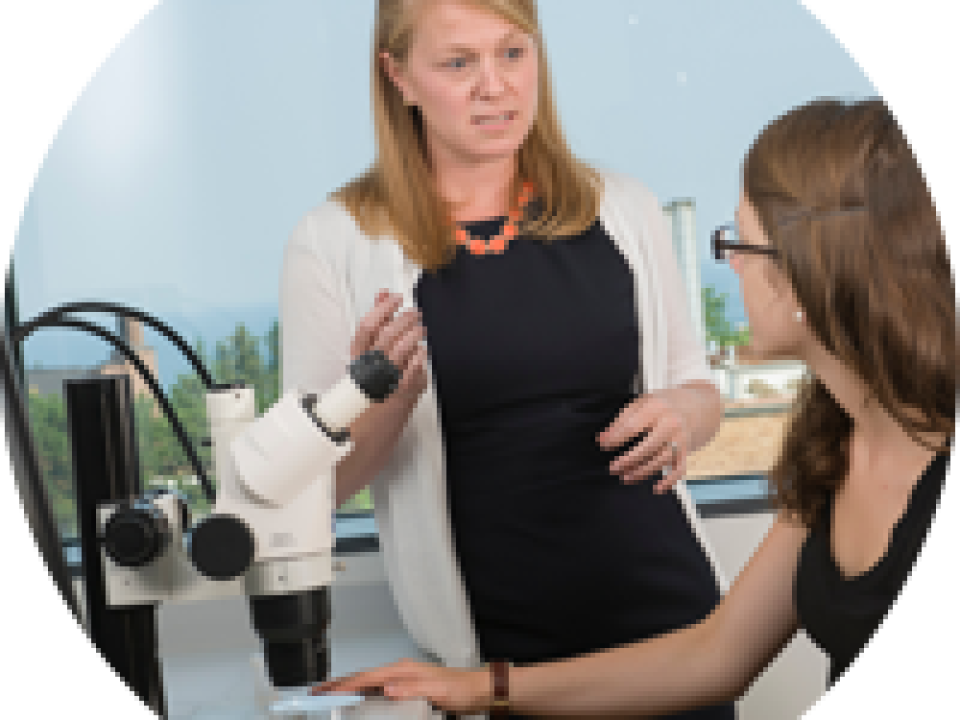 Researching student listens topProfessor&#039;s advice