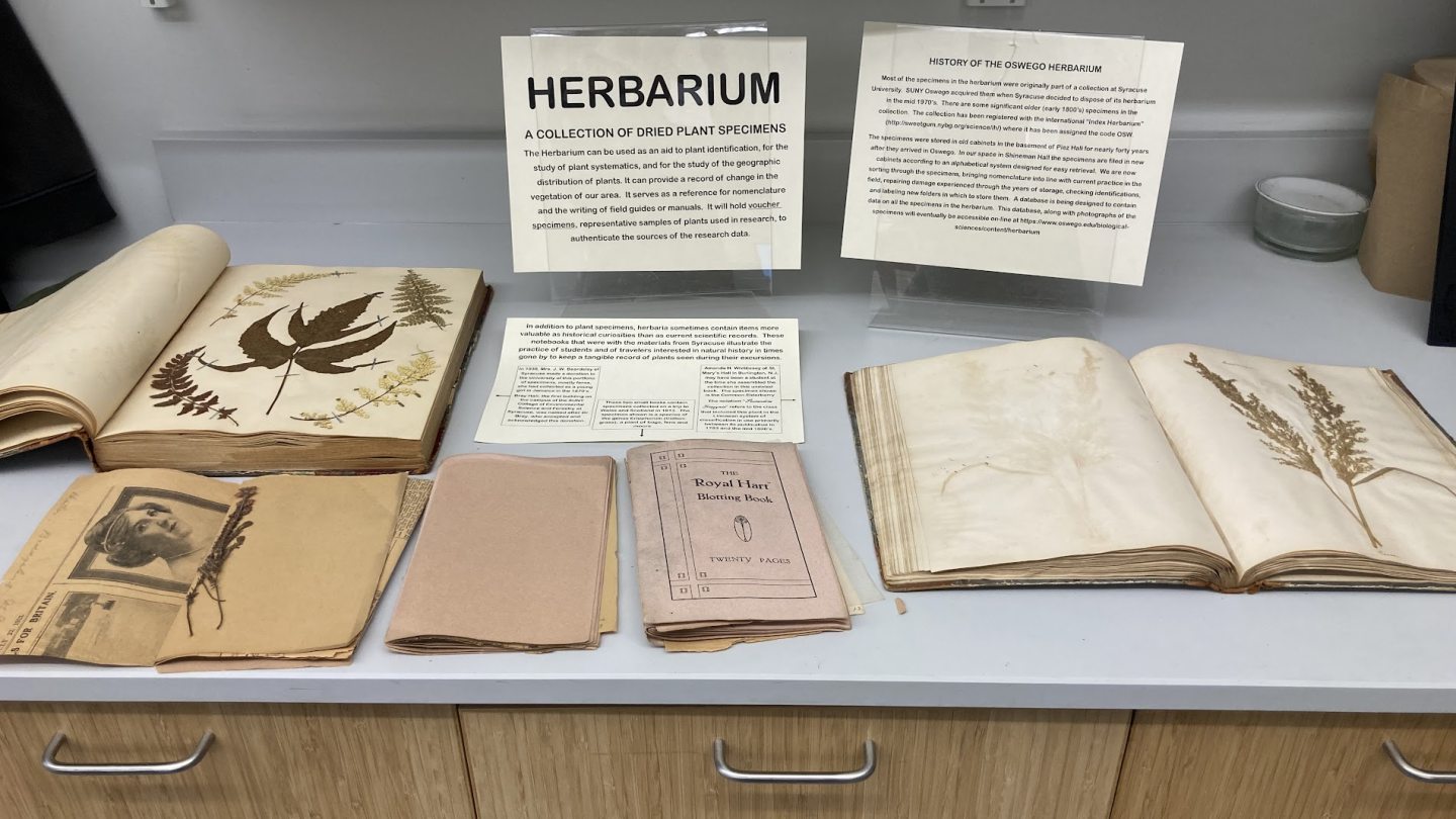 Herbarium documents