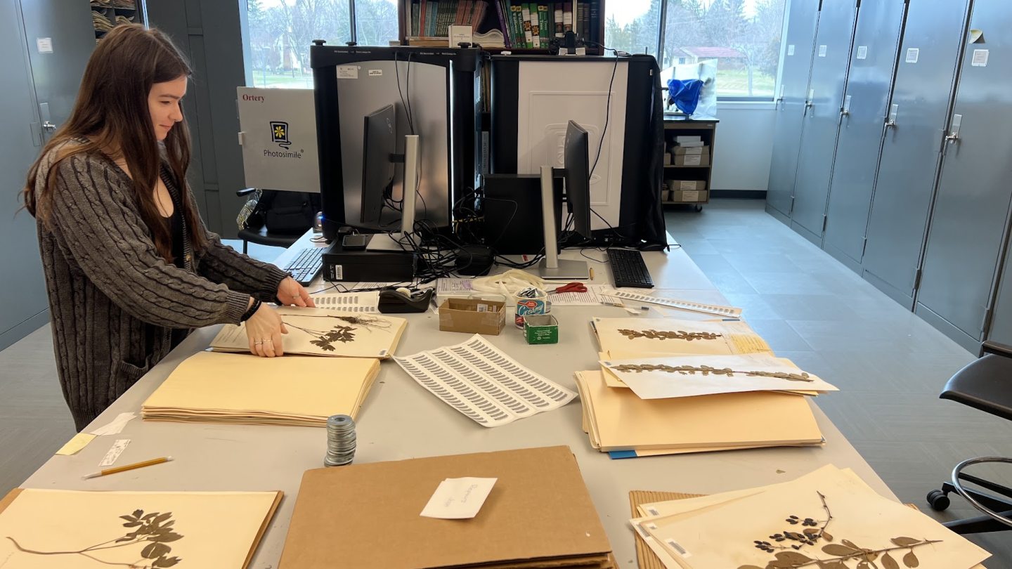 A student with books of dried plant specimens
