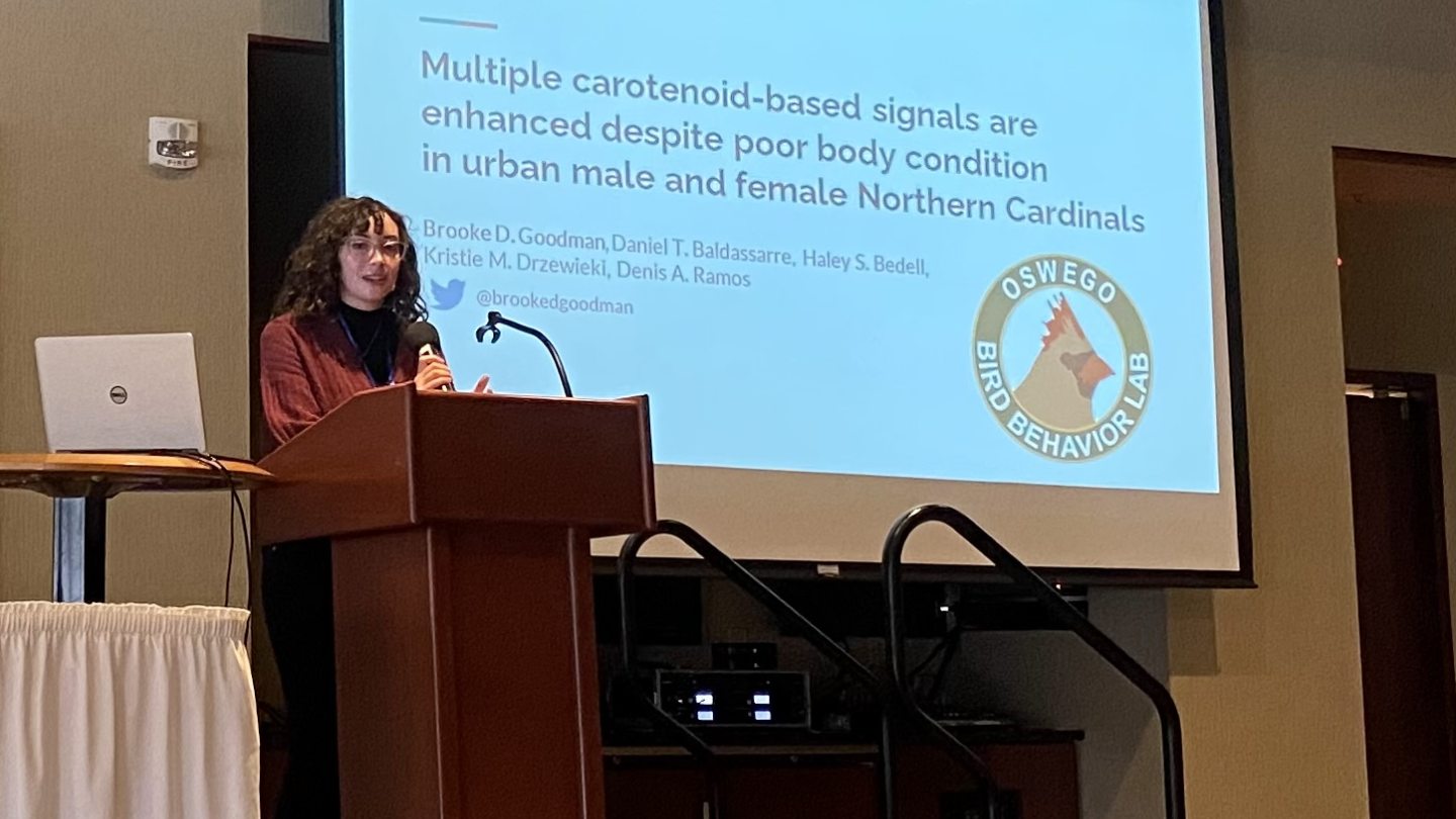 Brooke Goodman speaking at NYS Ornithological Assoc