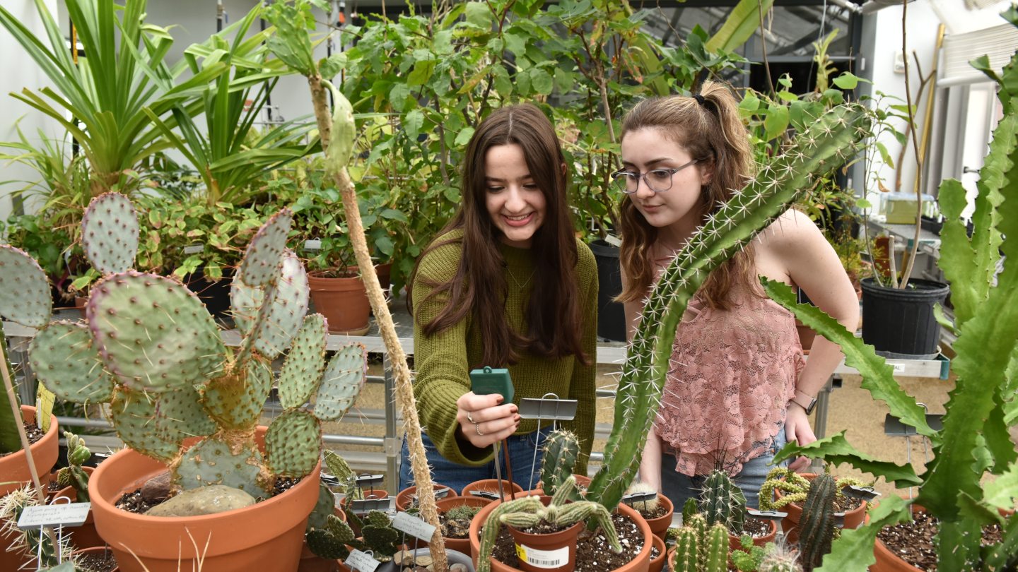 Two students in the greenhouse, looking at cacti