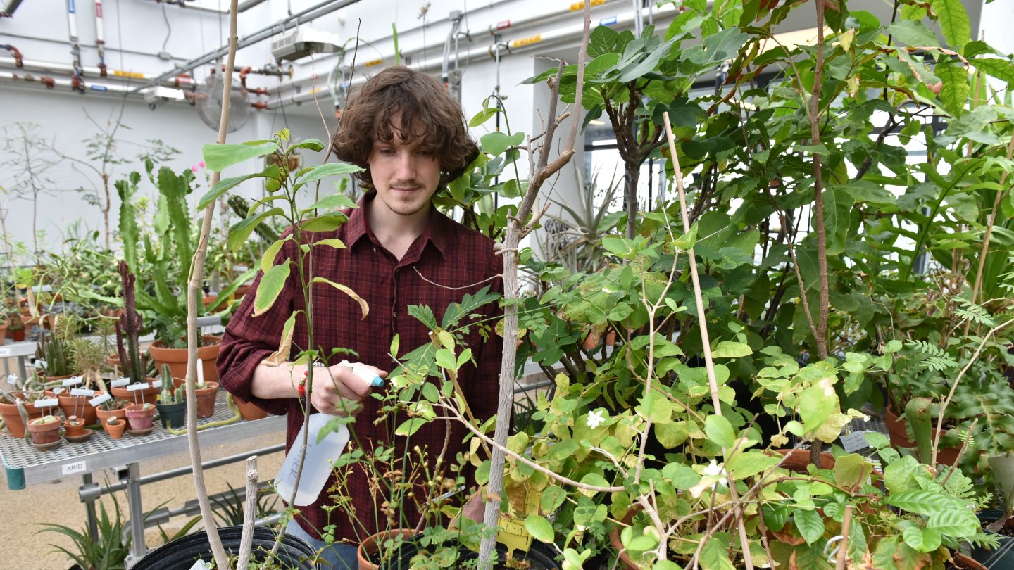 a man watering plants in the greenhouse