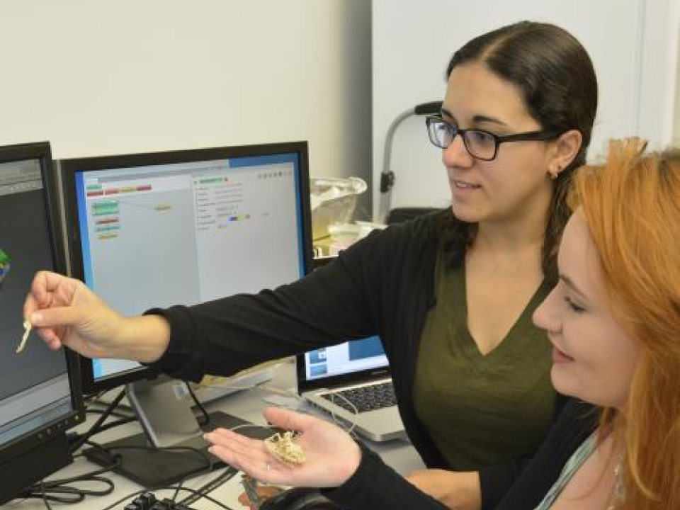 Two students working at a computer comparing fossilized bones to image on a screen