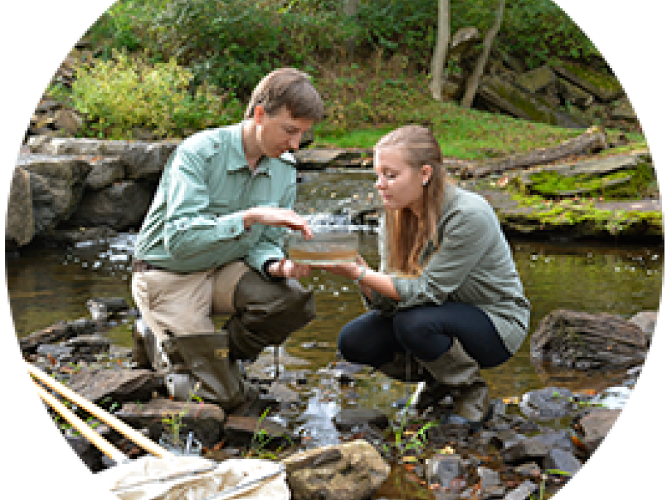 bio students collecting samples from a stream
