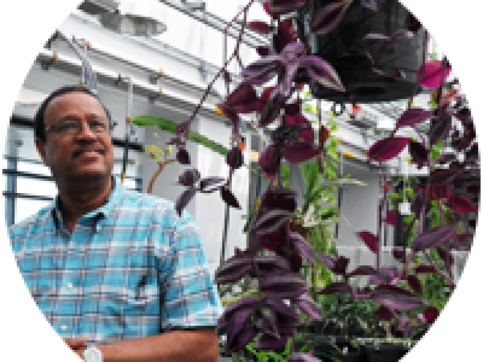 man walking through a greenhouse looking at hanging plants