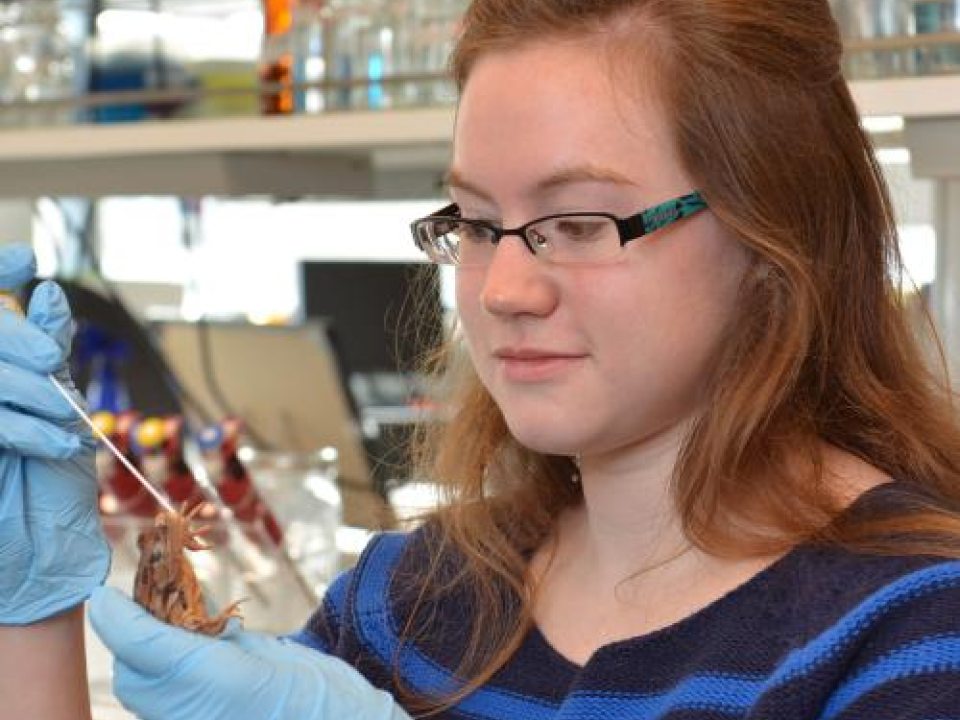Female zoology student examining a frog