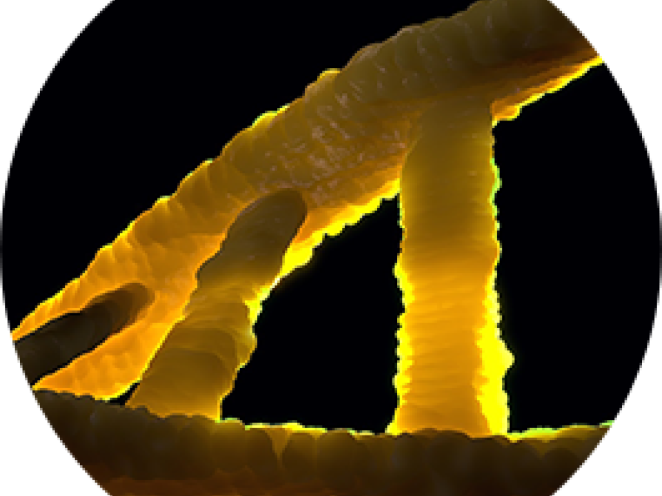 view under a microscope