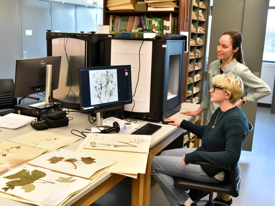 Two people looking at plant specimens on a computer screen