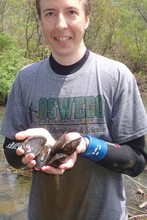Andrew McElwain