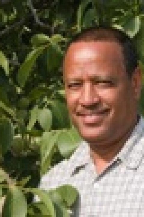 Kamal I. Mohamed