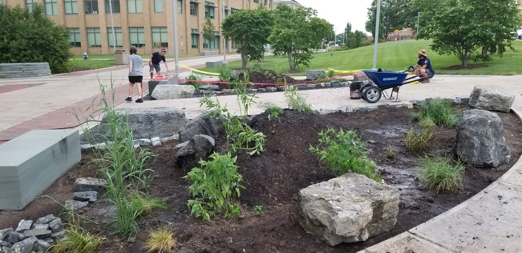 the Alvar garden beds with large rocks