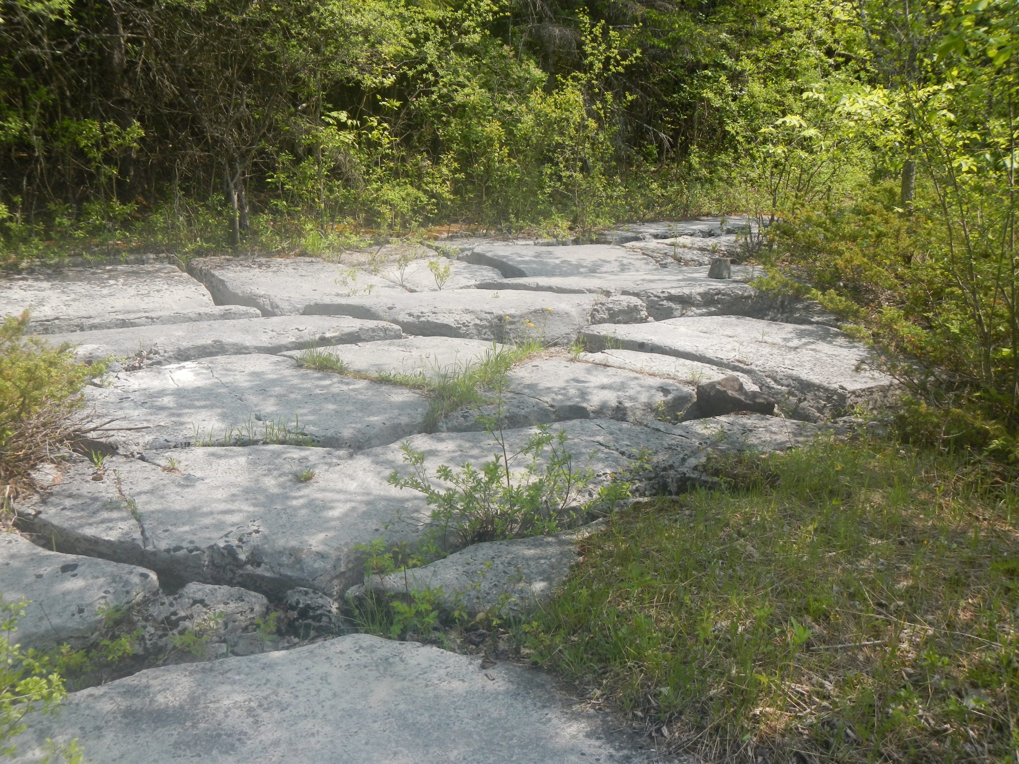  horizontal exposures of limestone fractured by deep cracks