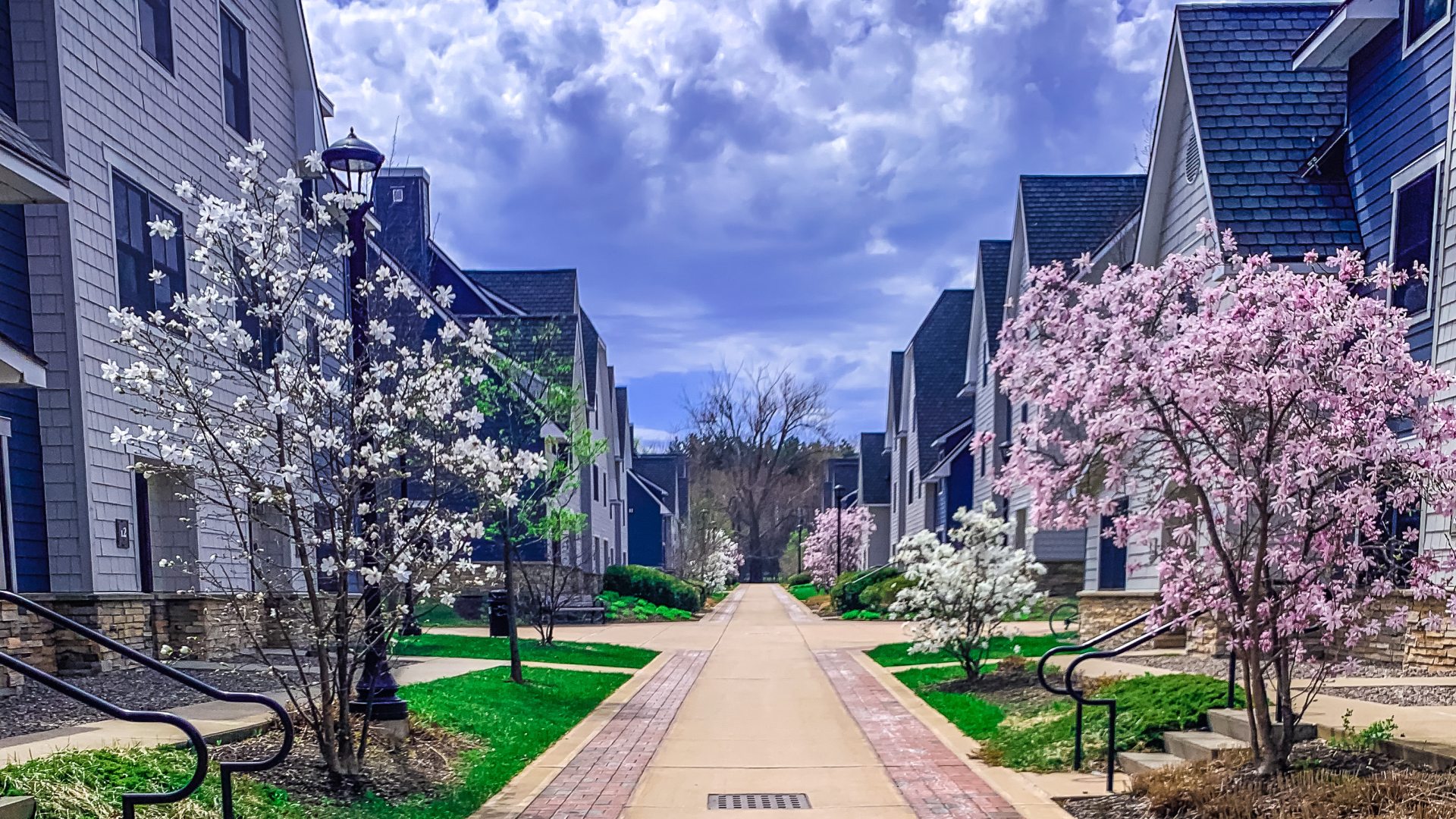 Walking path through The Village Townhouses