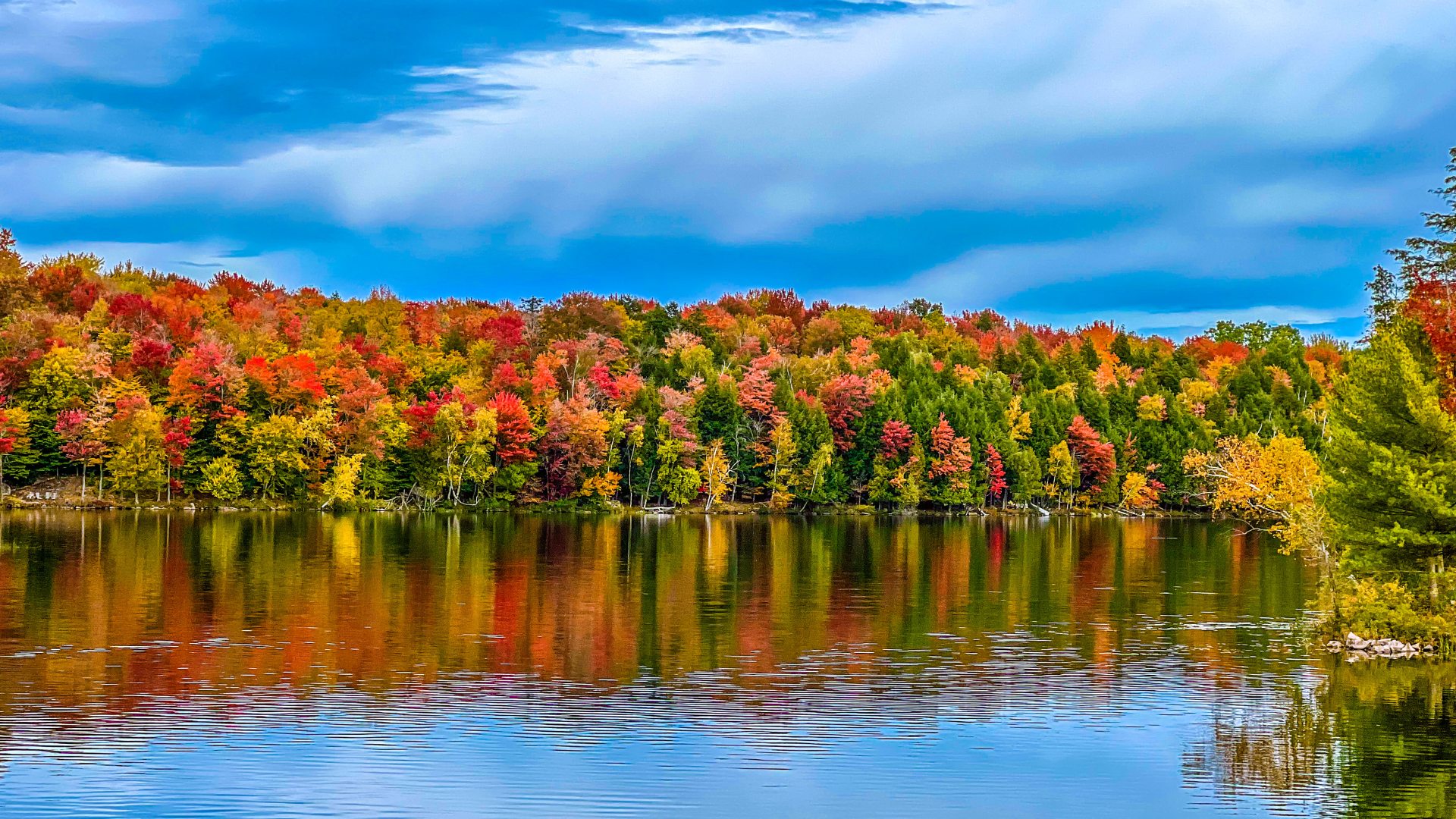 Fall foliage