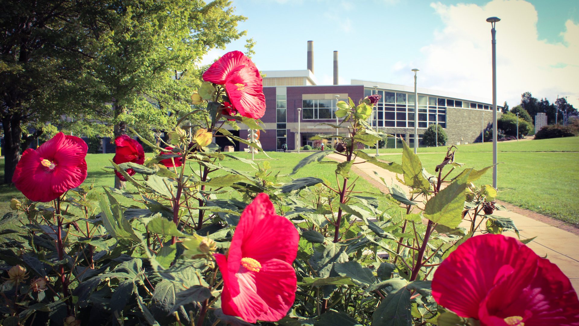 Marano Campus Center