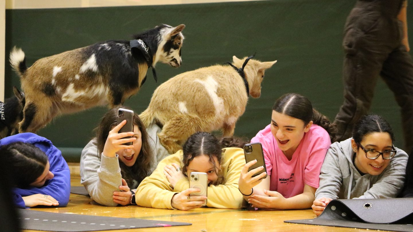 GoatYoga