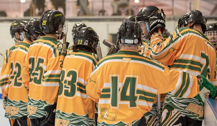 roller hockey