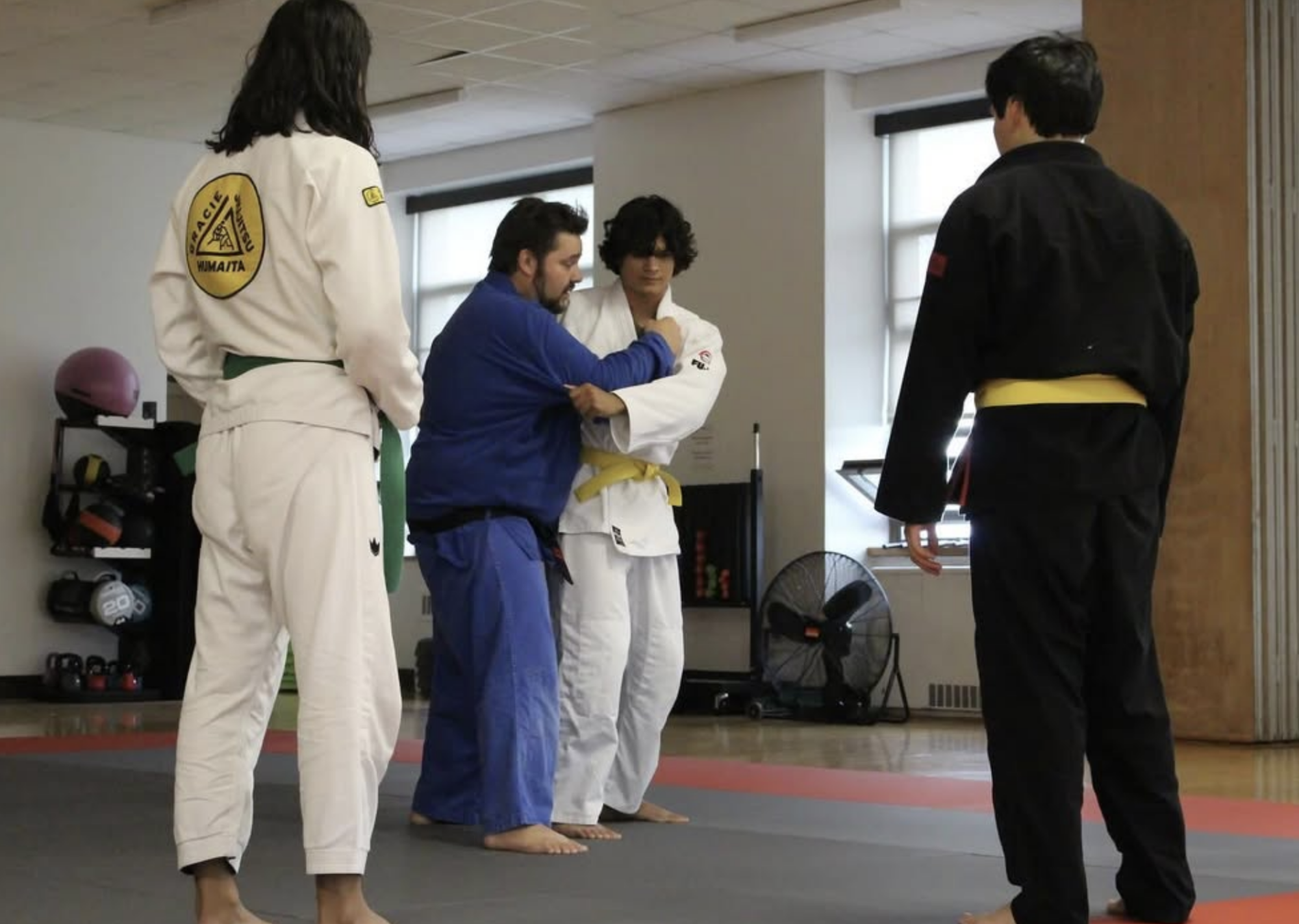 judo