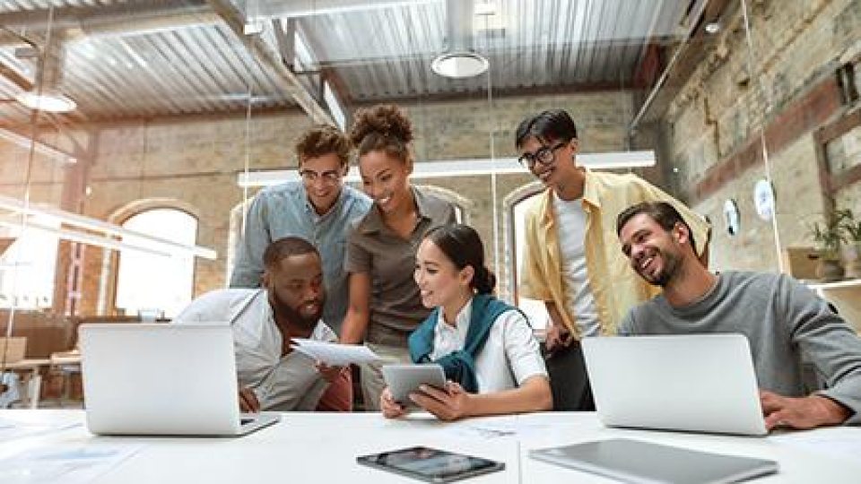 A group of people with laptops looking at papers (Adobestock)