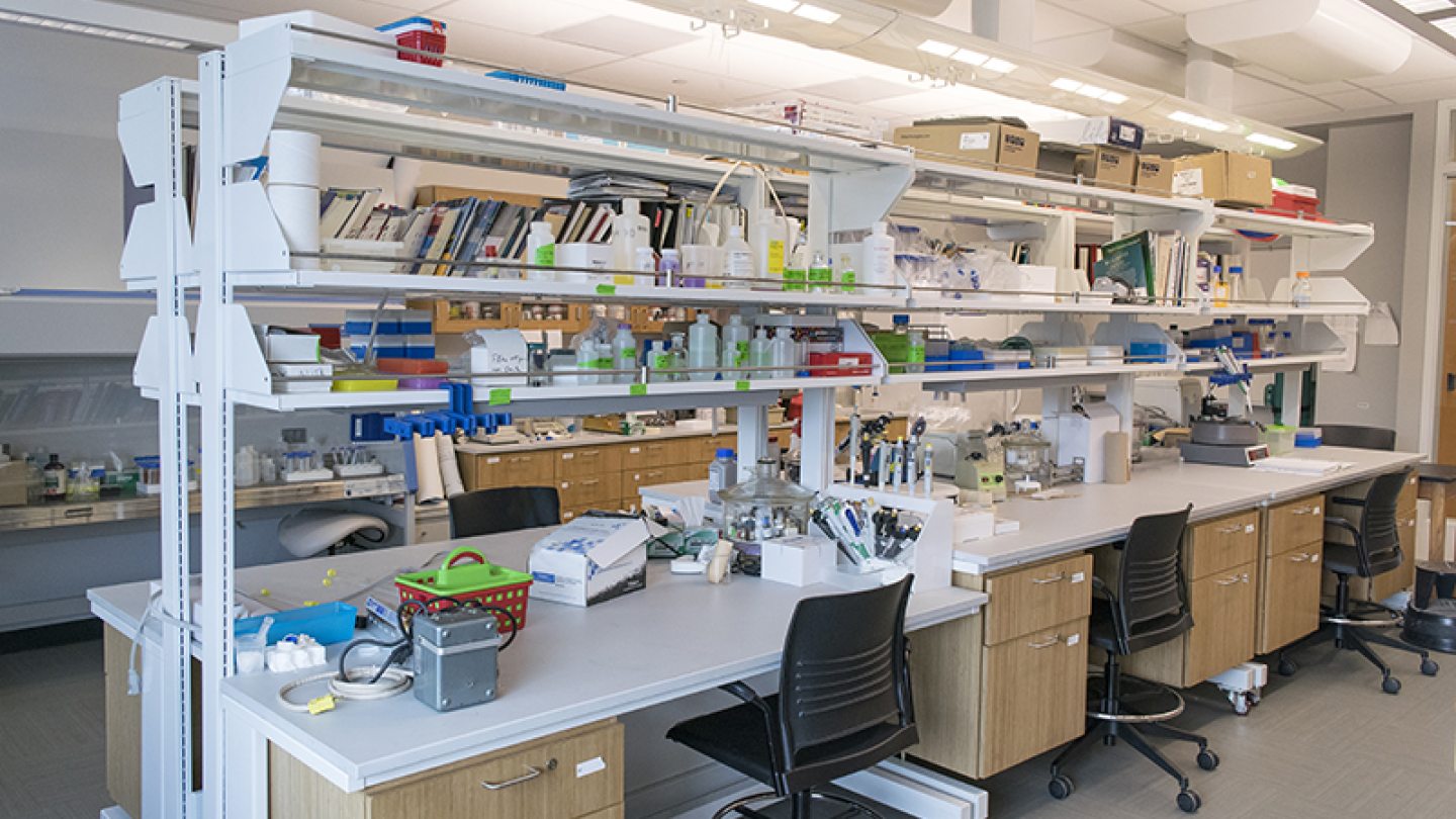 A cluttered biochemistry research lab with shelves of supplies and seating.