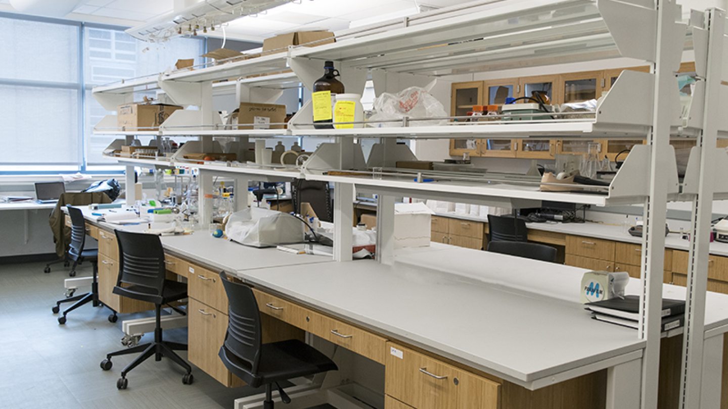 An environmental forensics lab with workstations and shelves.