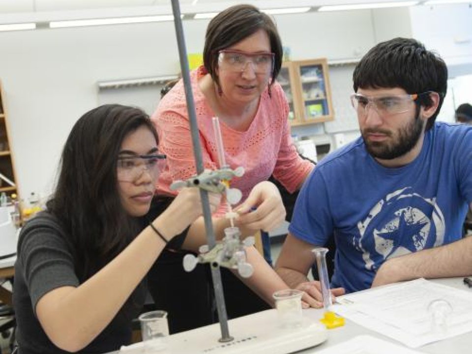 Three people looking at a test tube sample