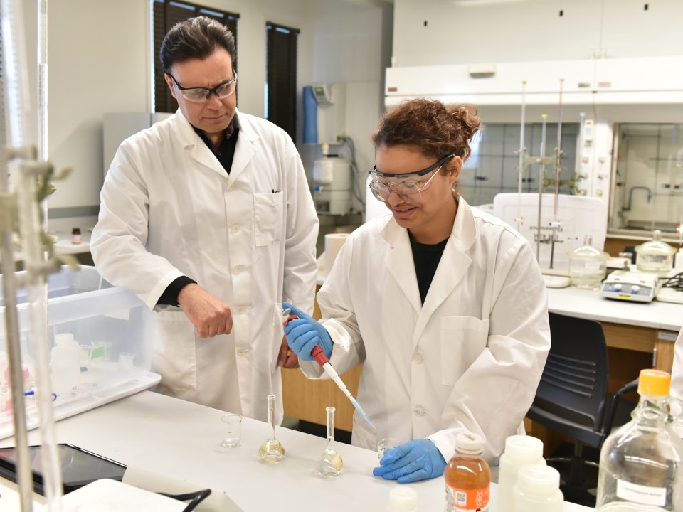 Two people looking at test tubes