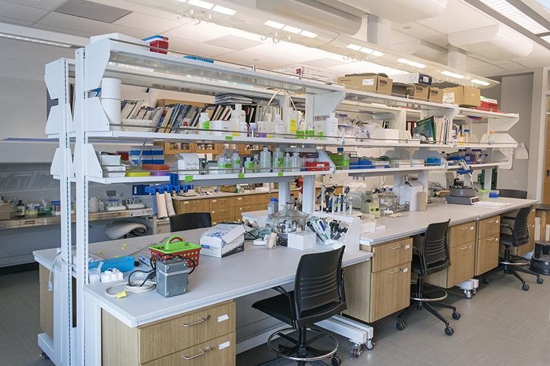 A modern, organized biochemical research laboratory with shelving and lab benches.