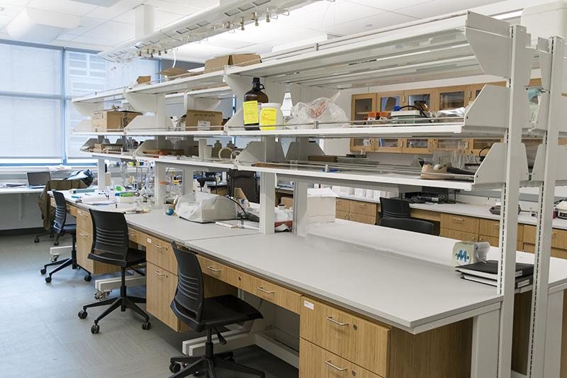 A modern biochemistry research lab with various supplies and equipment on the counters.