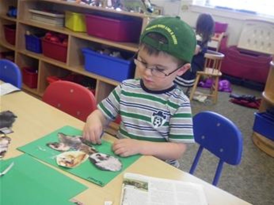 A young boy gluing paper cut-outs