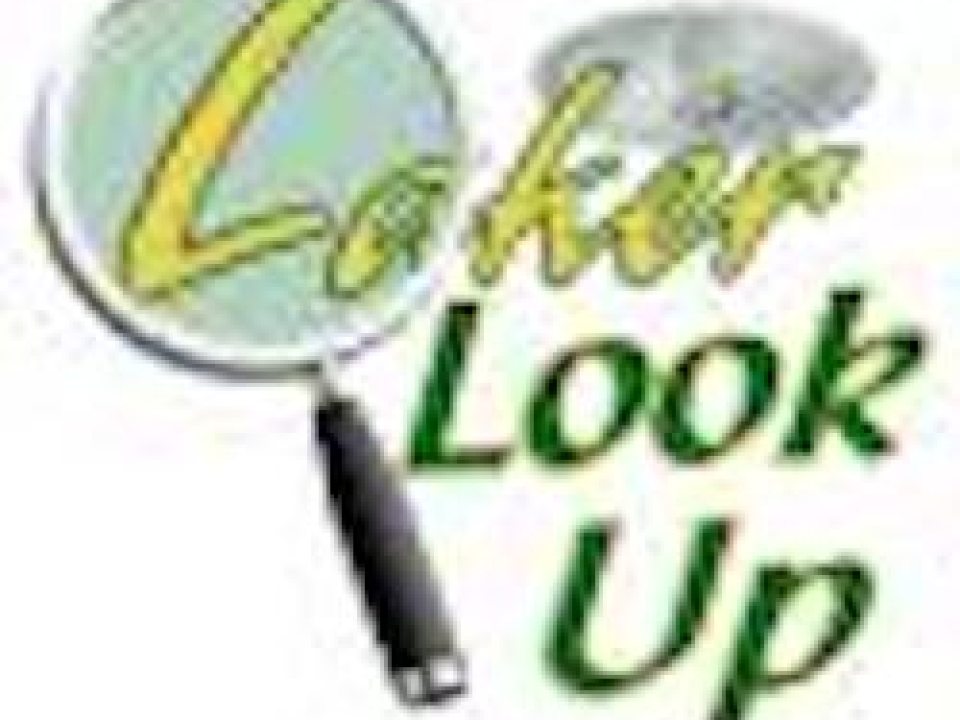 Laker Look Up logo
