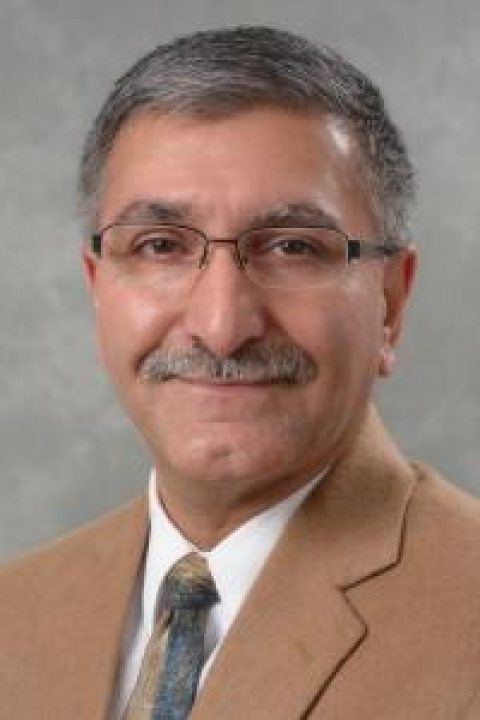 headshot of Rameen Mohammadi