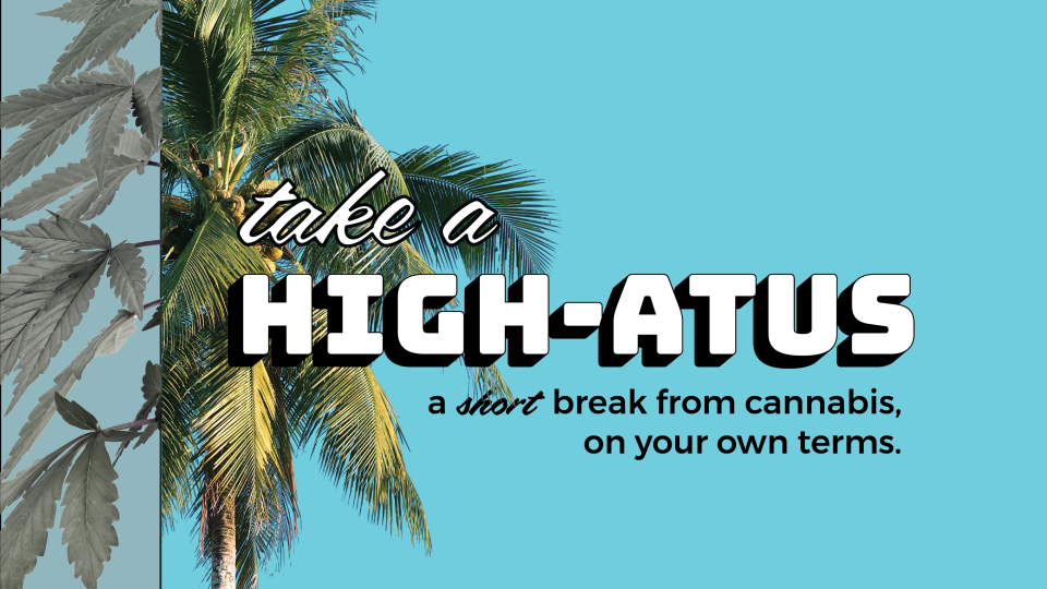 Title card for the Highatus tolerance break program. Features a pam tree that is split view with a cannabis plant. The background is mostly a break blue and the text reads "Take a high-atus. A short break from cannabis, on your own terms.