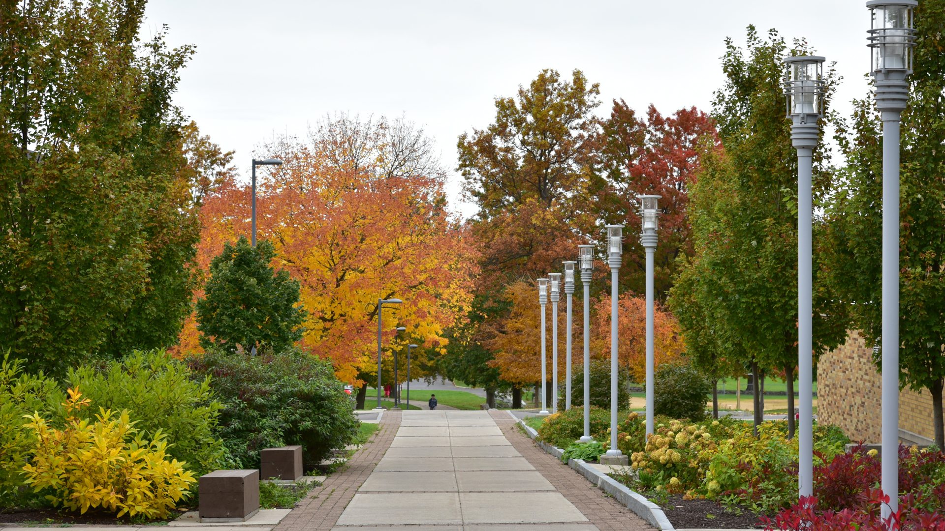 SUNY Oswego Fall Scenery