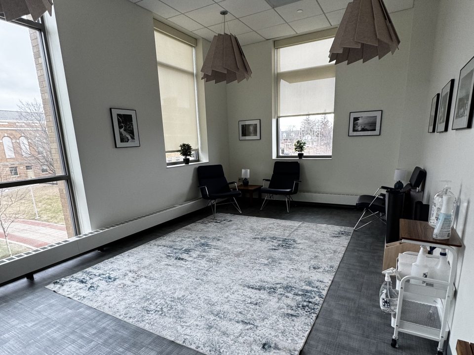 An open room with a gray area rug, tan light fixtures, and other various decor.