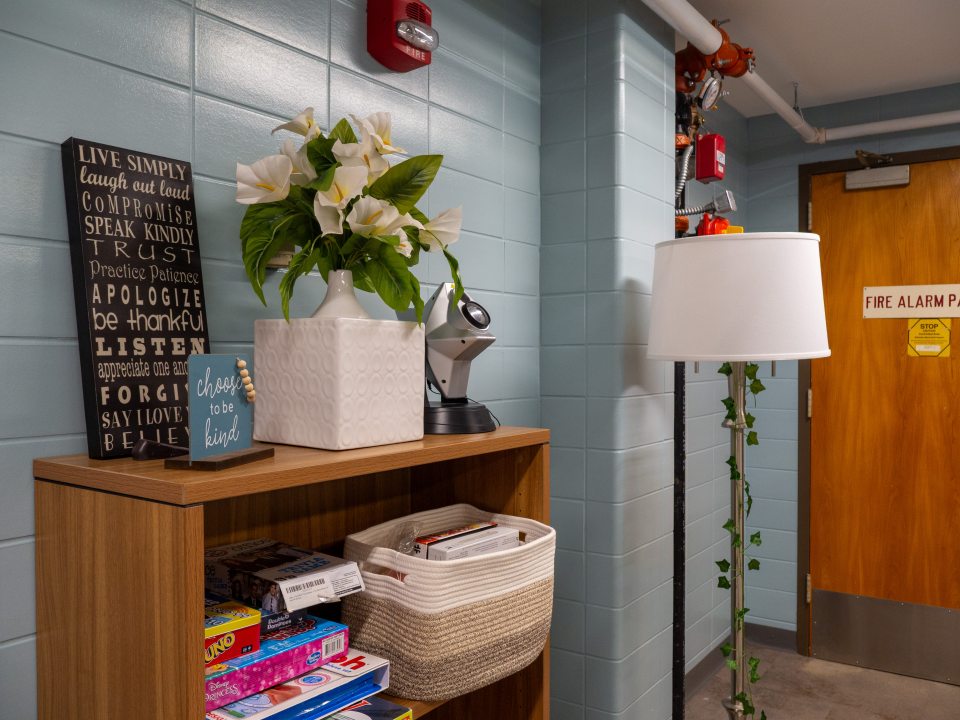 Blue room with bookshelf, hosting various decor. 