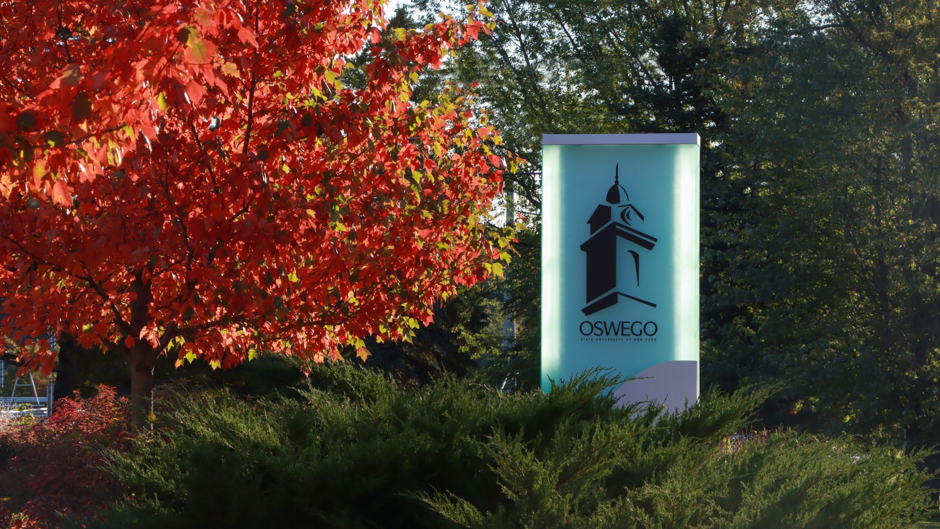 Oswego sign with foliage
