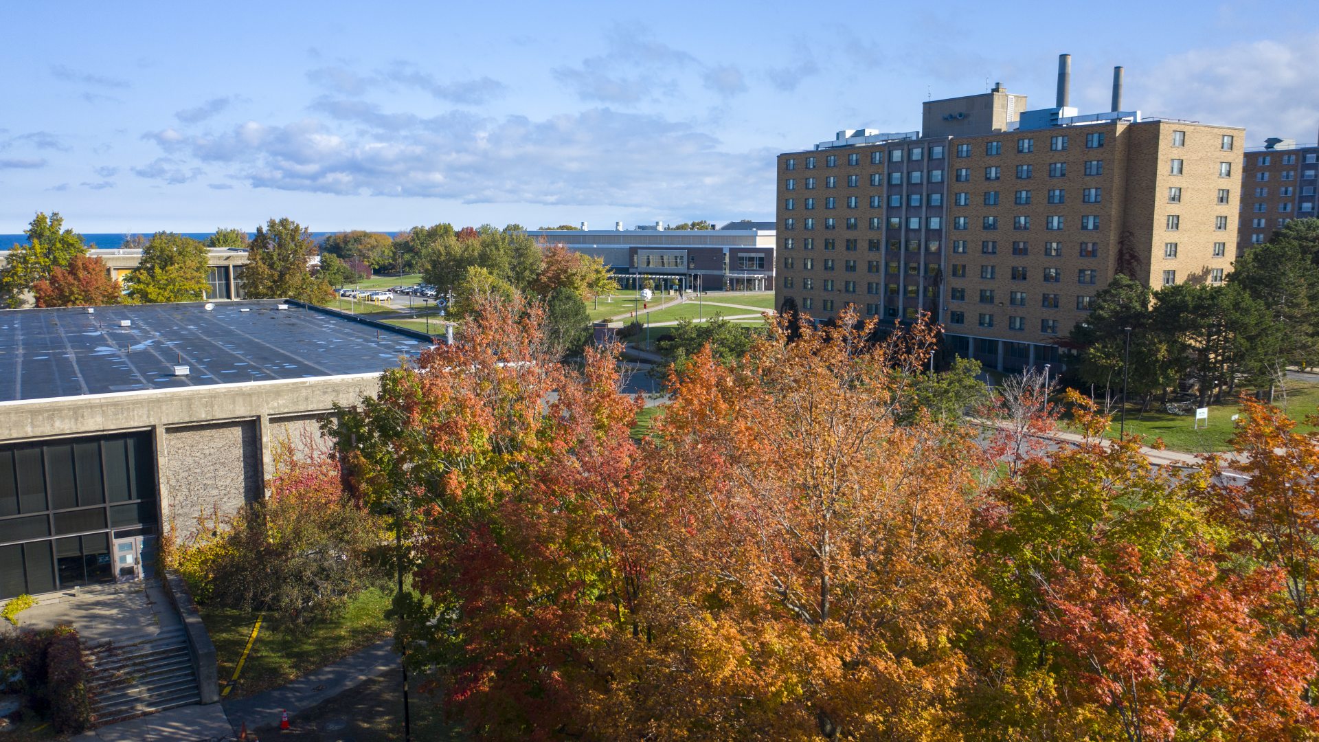 Fall on Campus