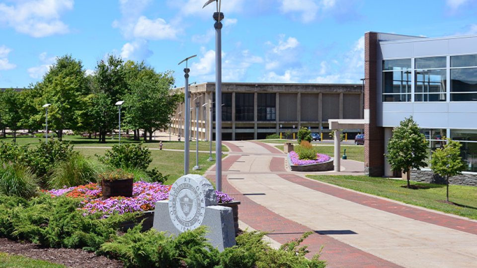 penciled library and Marano campus center summer