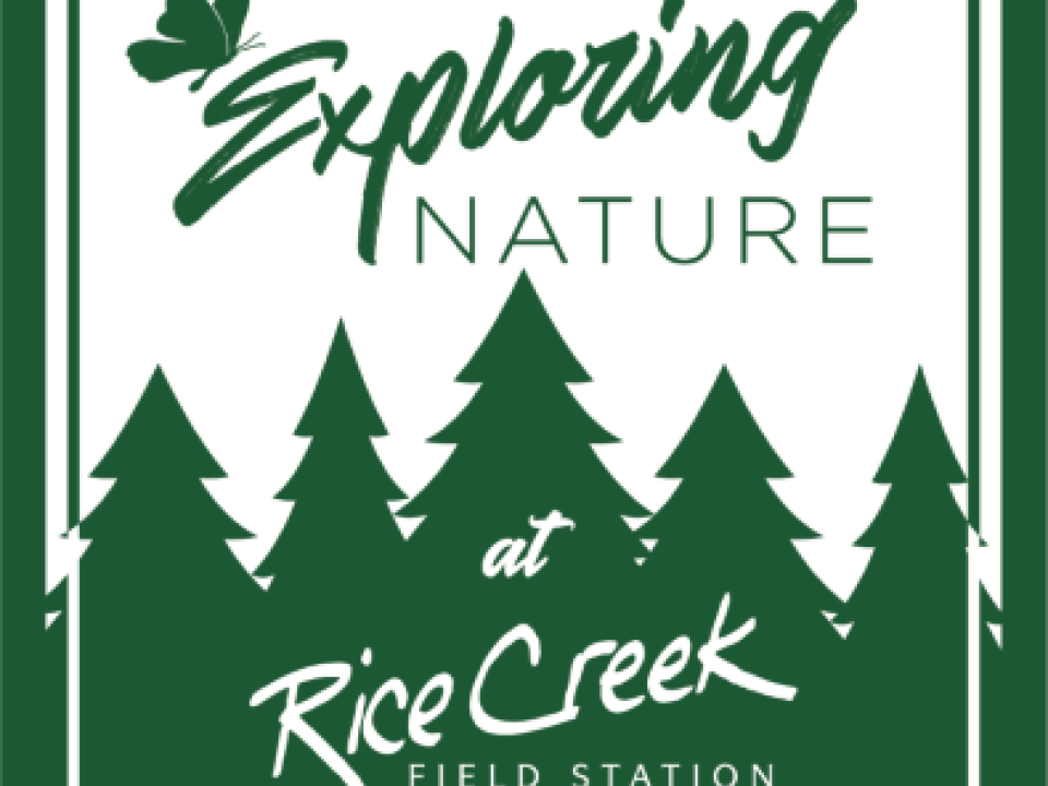 Exploring Nature at Rice Creek